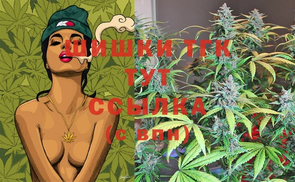 mix Богородицк