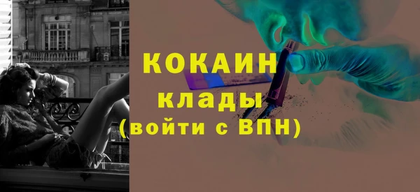 mix Богородицк