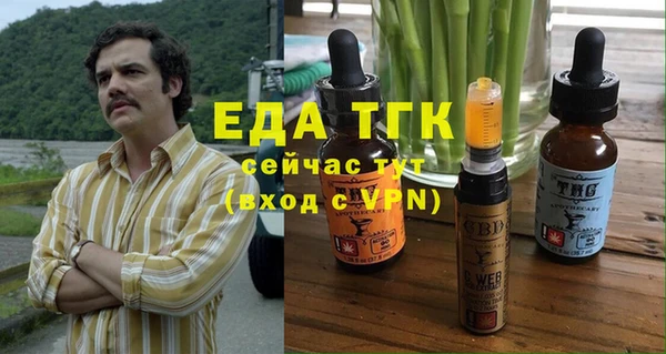 mix Богородицк