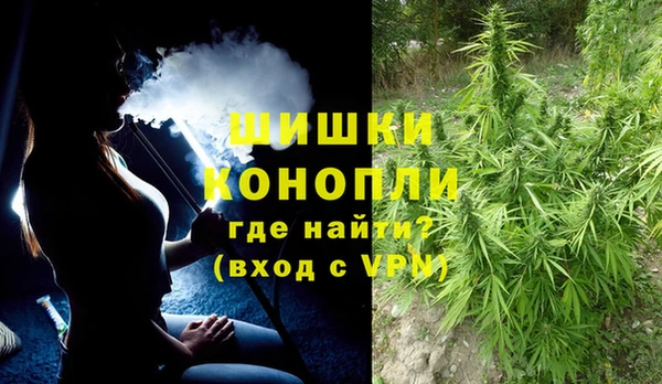 тгк Богородск