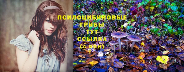 тгк Богородск